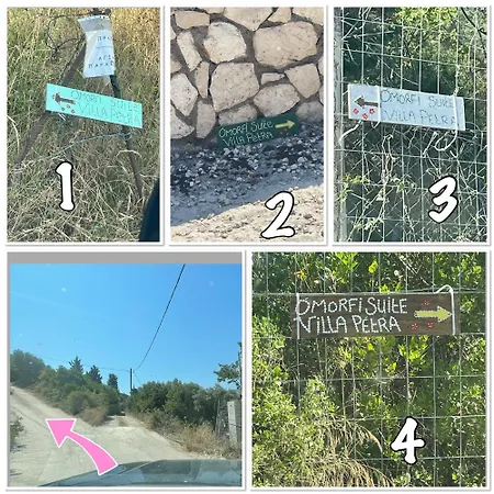 Petra Bed and Breakfast Κατούνα