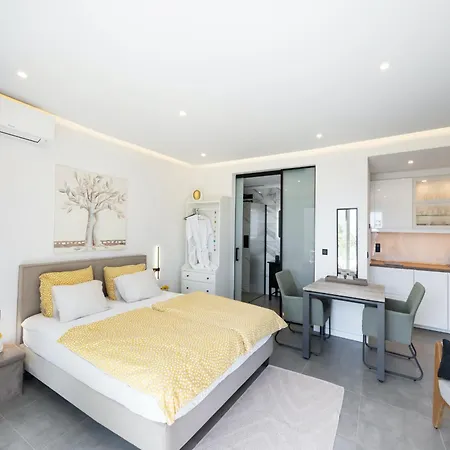 住宿加早餐酒店 Grey Sea View Estate - Luxury With Private Pool & Plunge Pool 4*