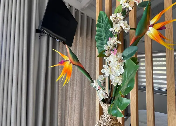 Petra Nocleg ze śniadaniem 4*